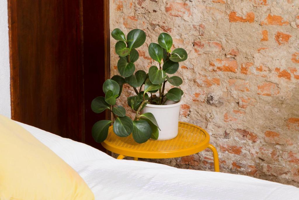Casa Canario Hostel Guadalajara Extérieur photo
