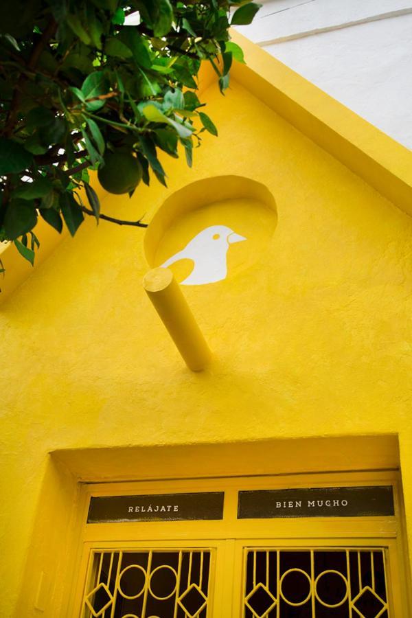 Casa Canario Hostel Guadalajara Extérieur photo