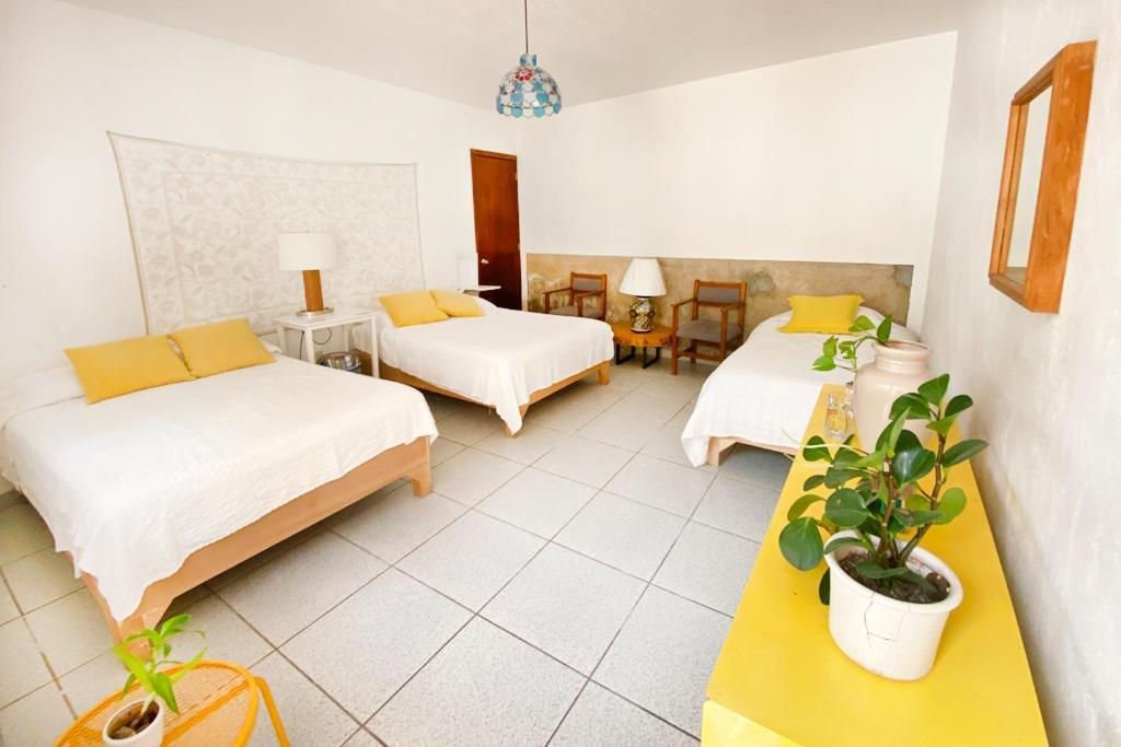 Casa Canario Hostel Guadalajara Extérieur photo