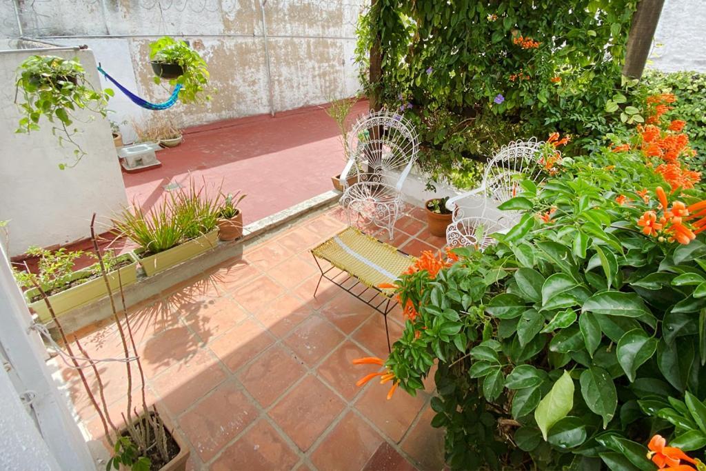 Casa Canario Hostel Guadalajara Extérieur photo