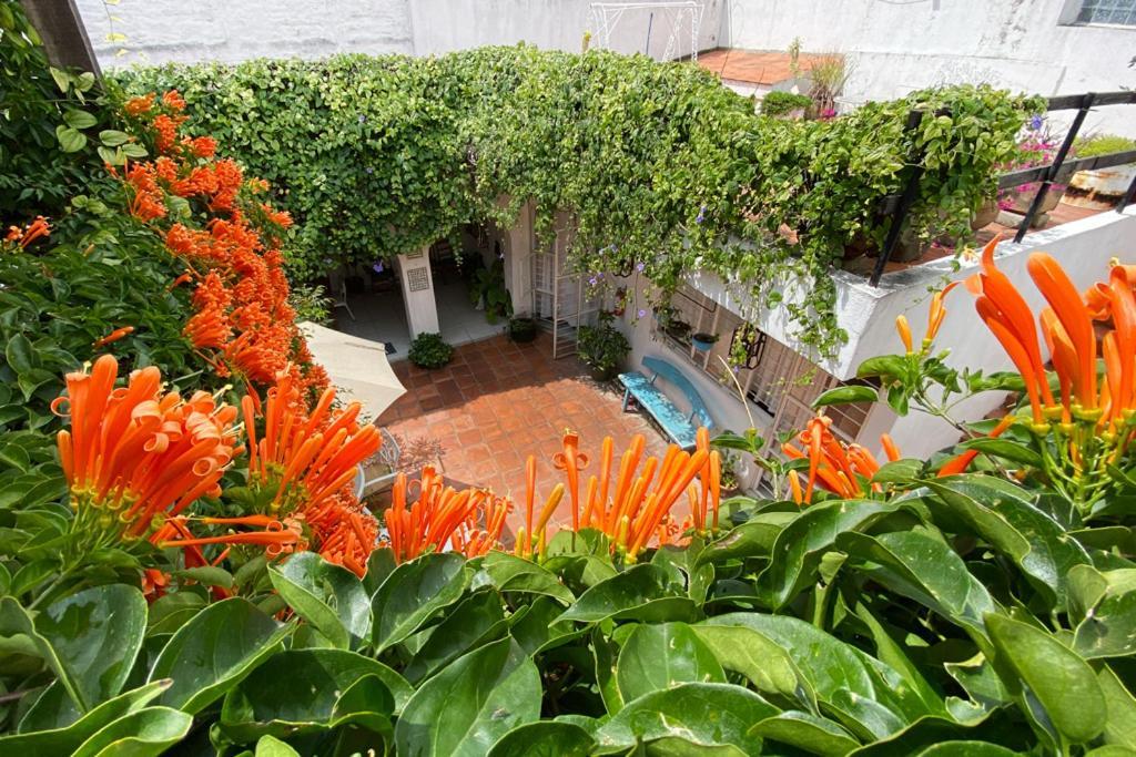 Casa Canario Hostel Guadalajara Extérieur photo